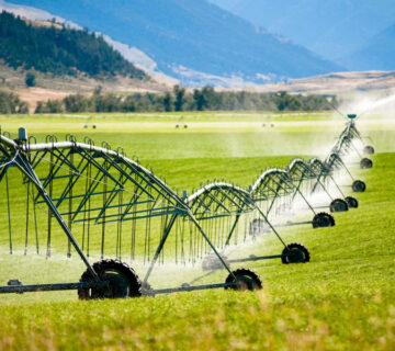 آبیاری قطره ای در اصفهان