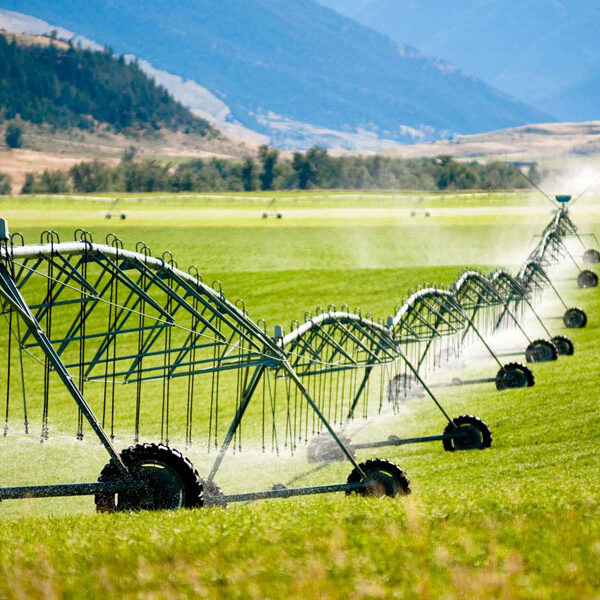 آبیاری قطره ای در اصفهان