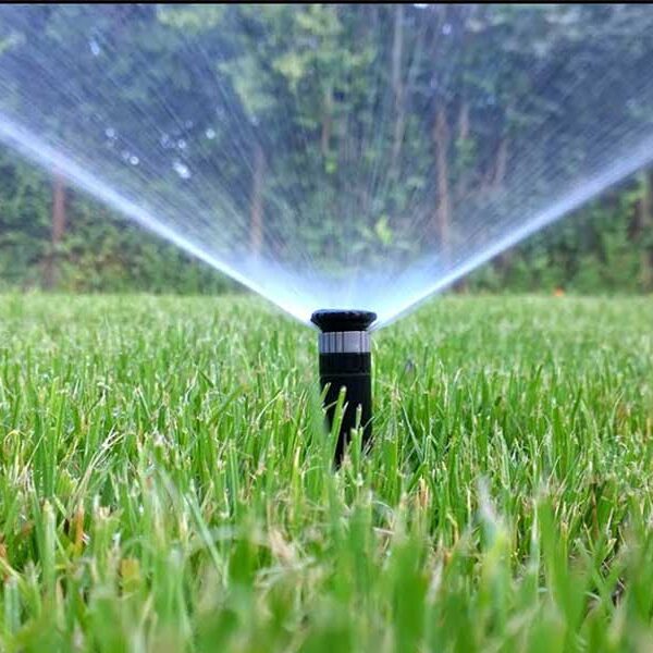 آبیاری قطره ای