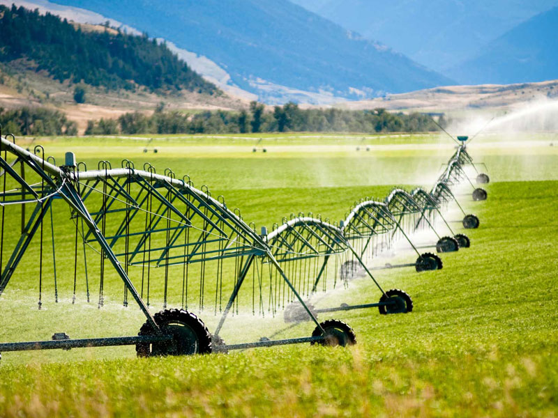 آبیاری قطره ای در اصفهان