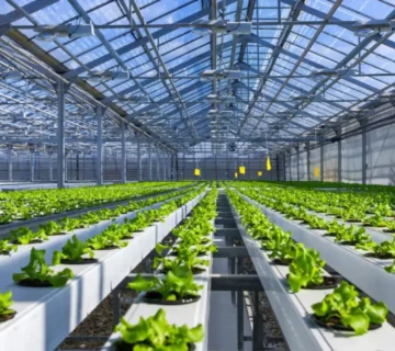 مراحل احداث گلخانه از صفر تا صد