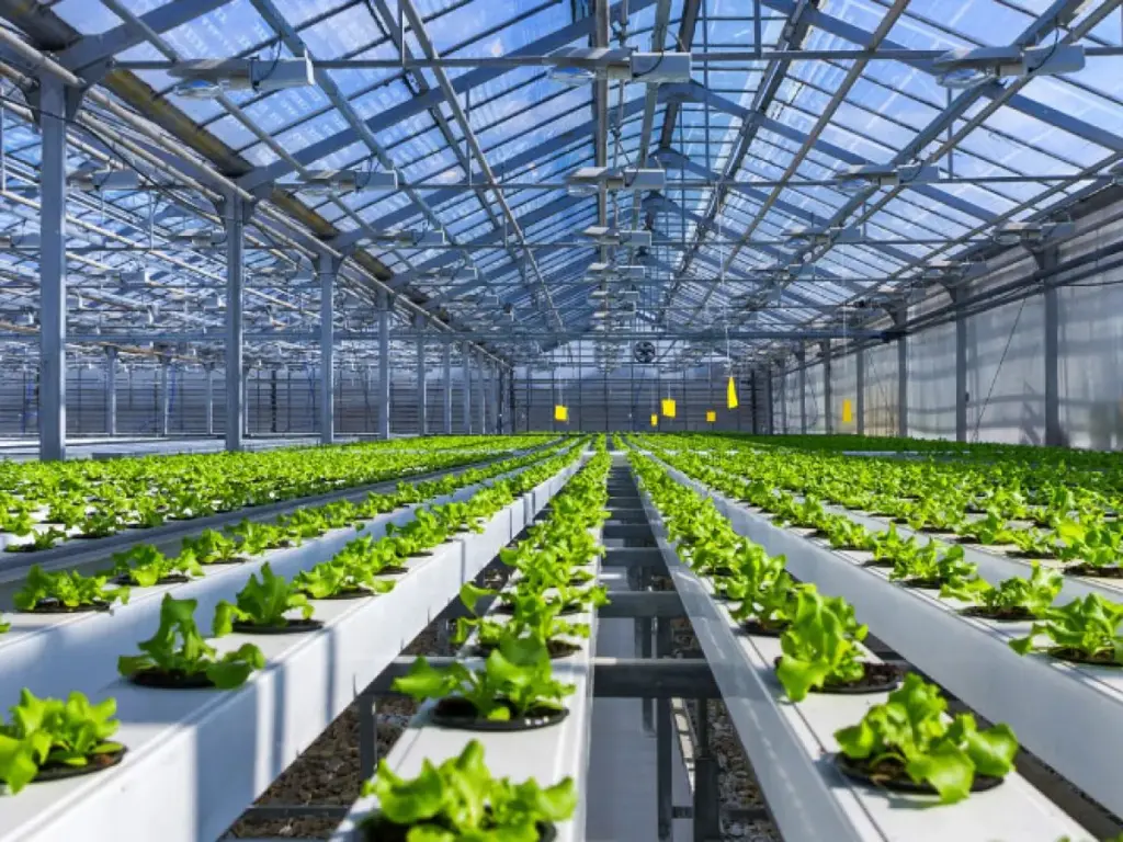 مراحل احداث گلخانه از صفر تا صد