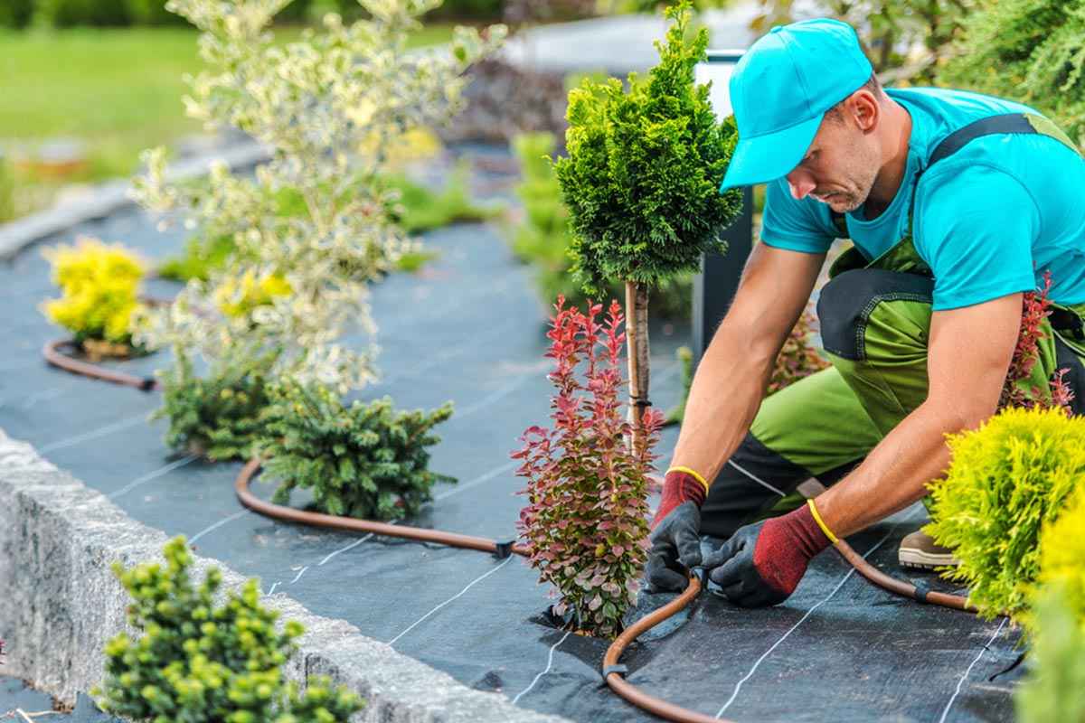 آبیاری قطره‌ای باغچه