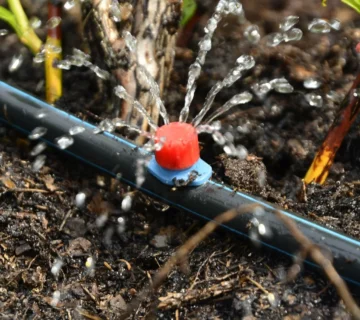 آبیاری قطره ای