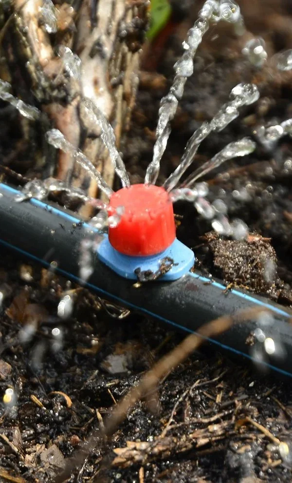 آبیاری قطره ای