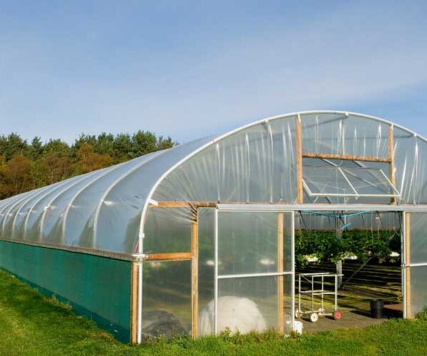 نصب نایلون گلخانه‌ای