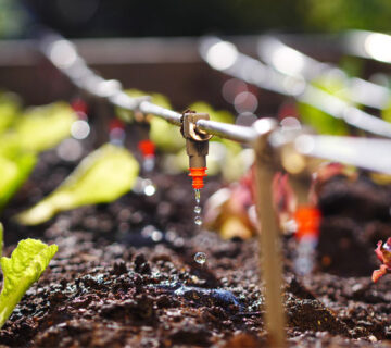 کاهش مصرف آب با آبیاری قطره ای