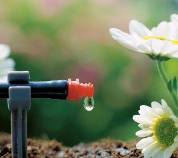 آبیاری قطره ای